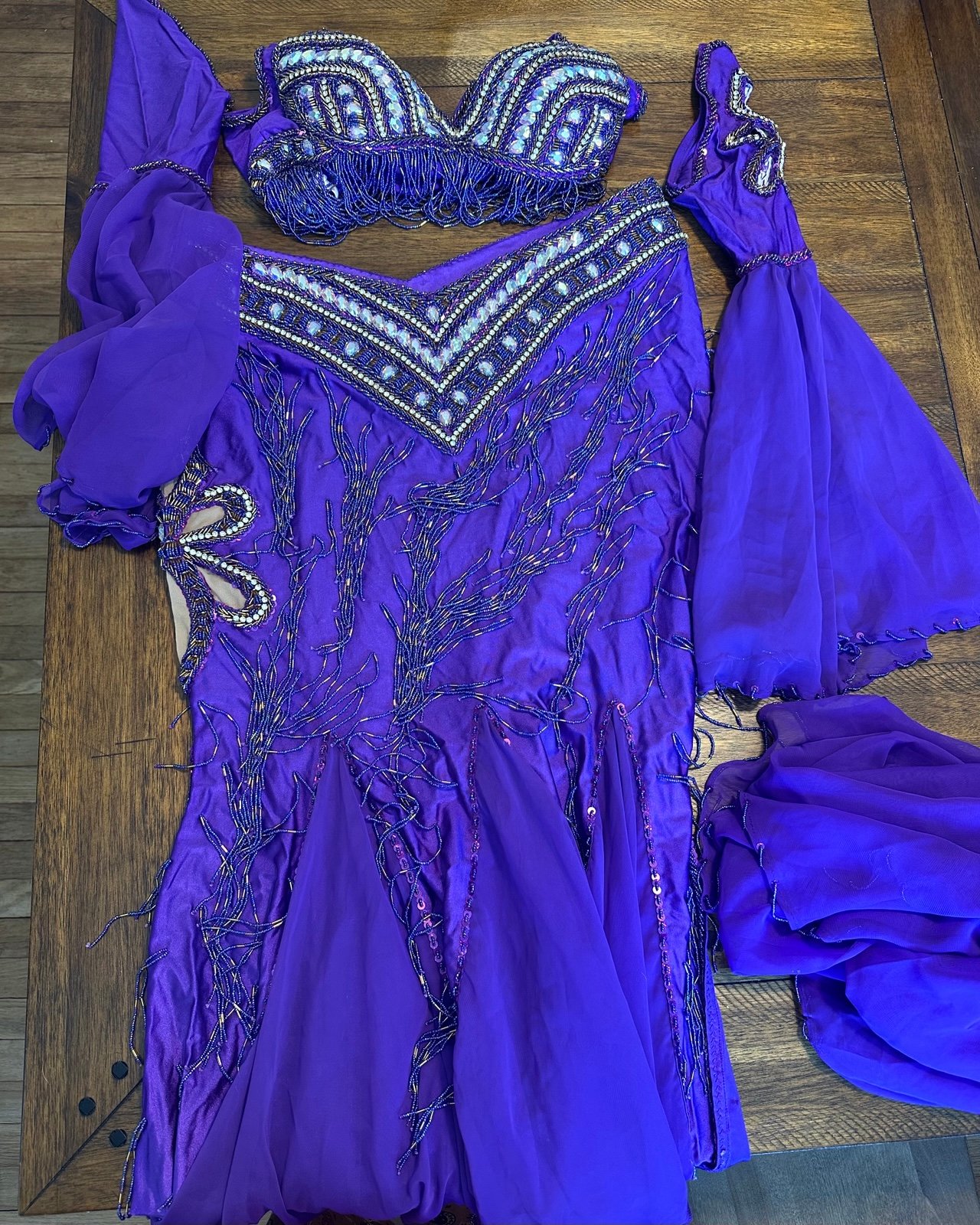 Professional bellydance costume